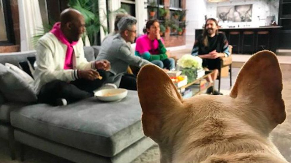 Bruley, the Dog From 'Queer Eye,' Has Passed Away