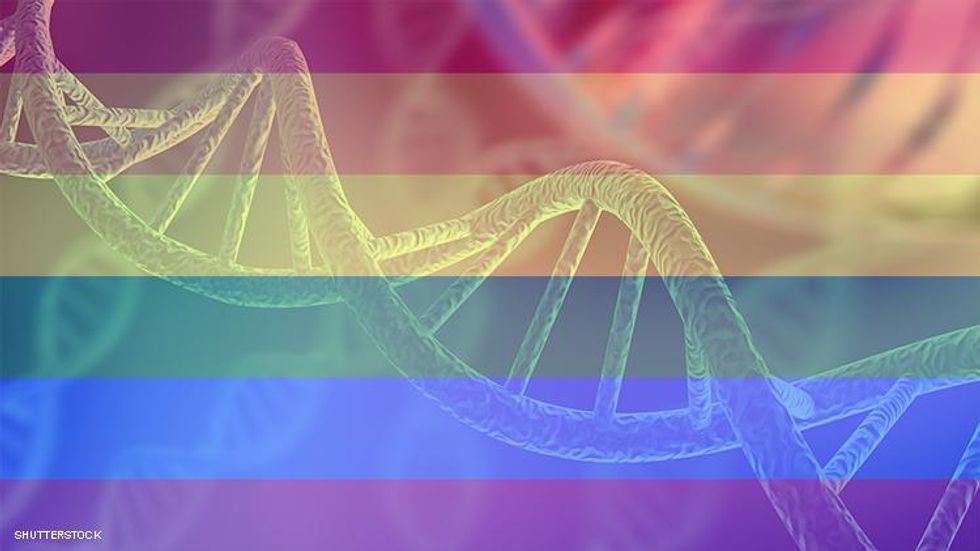 There's No Gay Gene, but Same-Sex Attractions Are Genetic Says Science