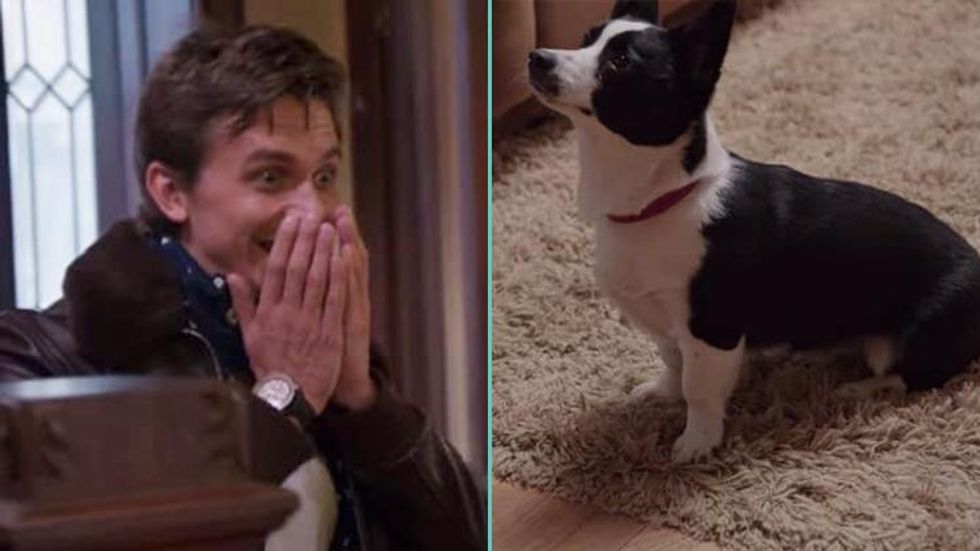 'Queer Eye' Star Antoni Freaking Out Over a Corgi Is So Adorably Pure