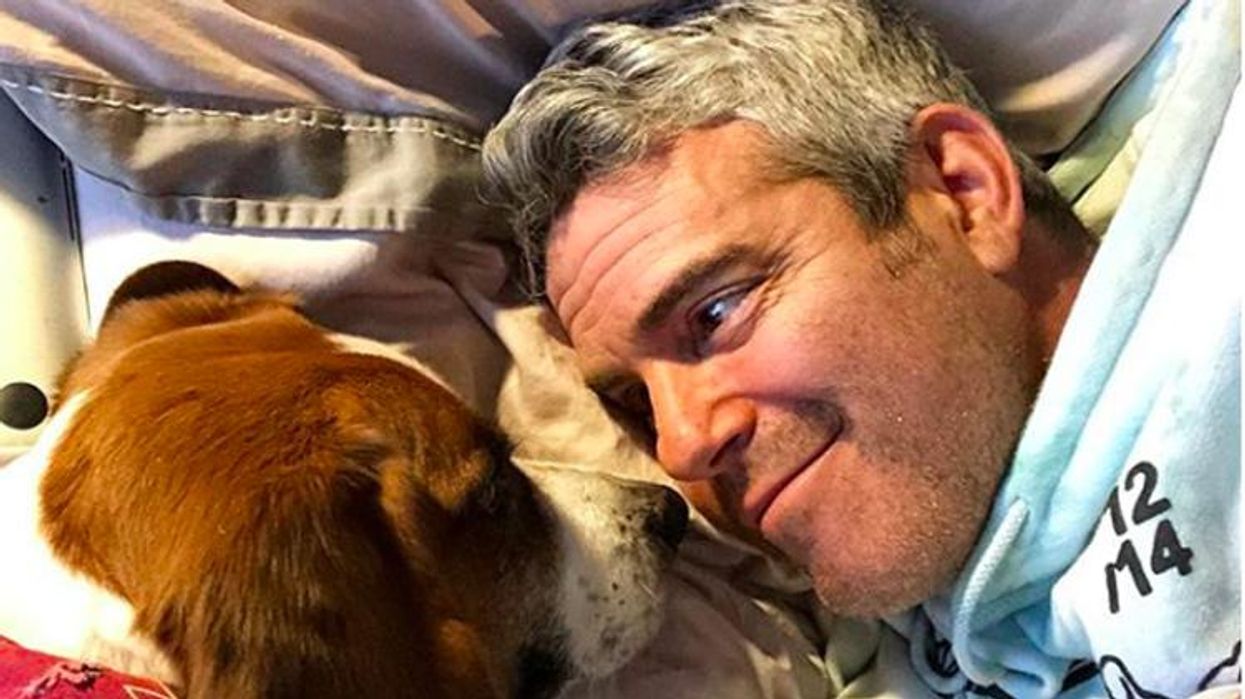 <p>Andy Cohen Announces the Birth of His Son</p>