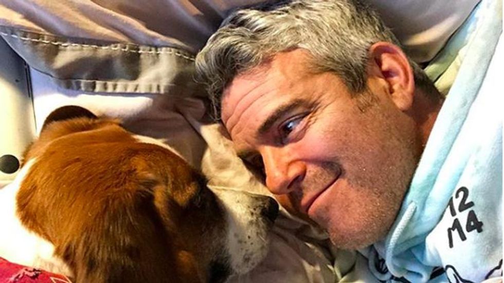 Andy Cohen Announces the Birth of His Son