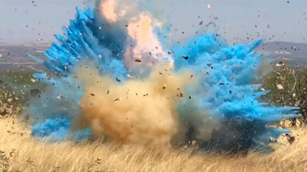 Gender Reveal Party Sparks $8 Mil. Wildfire, Proves the Binary Sucks