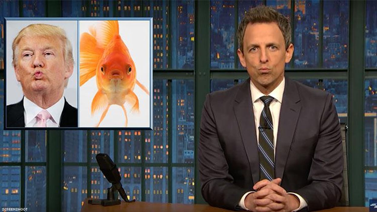 <p>Seth Meyers Points Out and Pokes Fun at Trump's 'Memory of a Goldfish'</p>