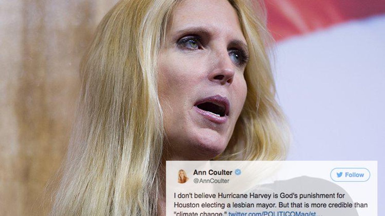 <p>Twitter Had the Best Responses to Ann Coulter's Ridiculous Hurricane Harvey Tweet</p>