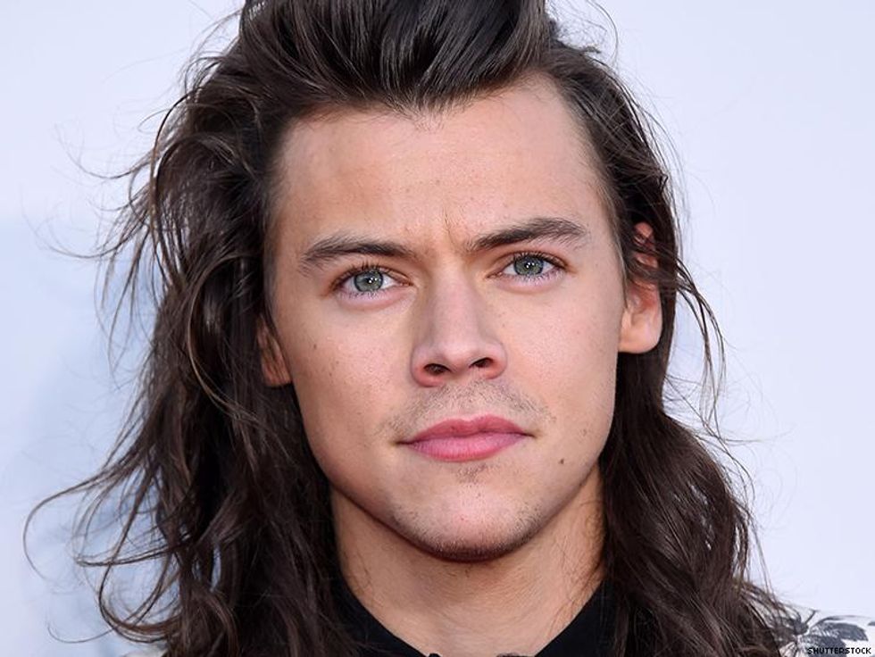 Harry Styles Speaks Out on Gay Rights