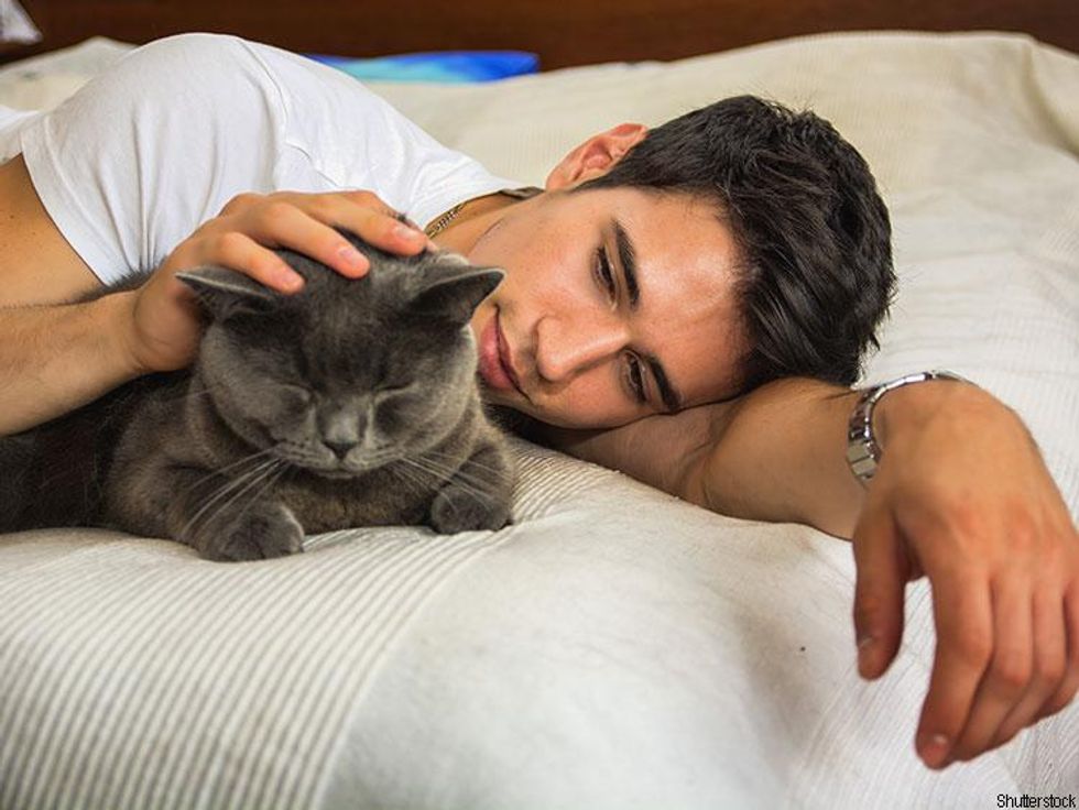 11 Purrfect Instahunks and Their Instacats