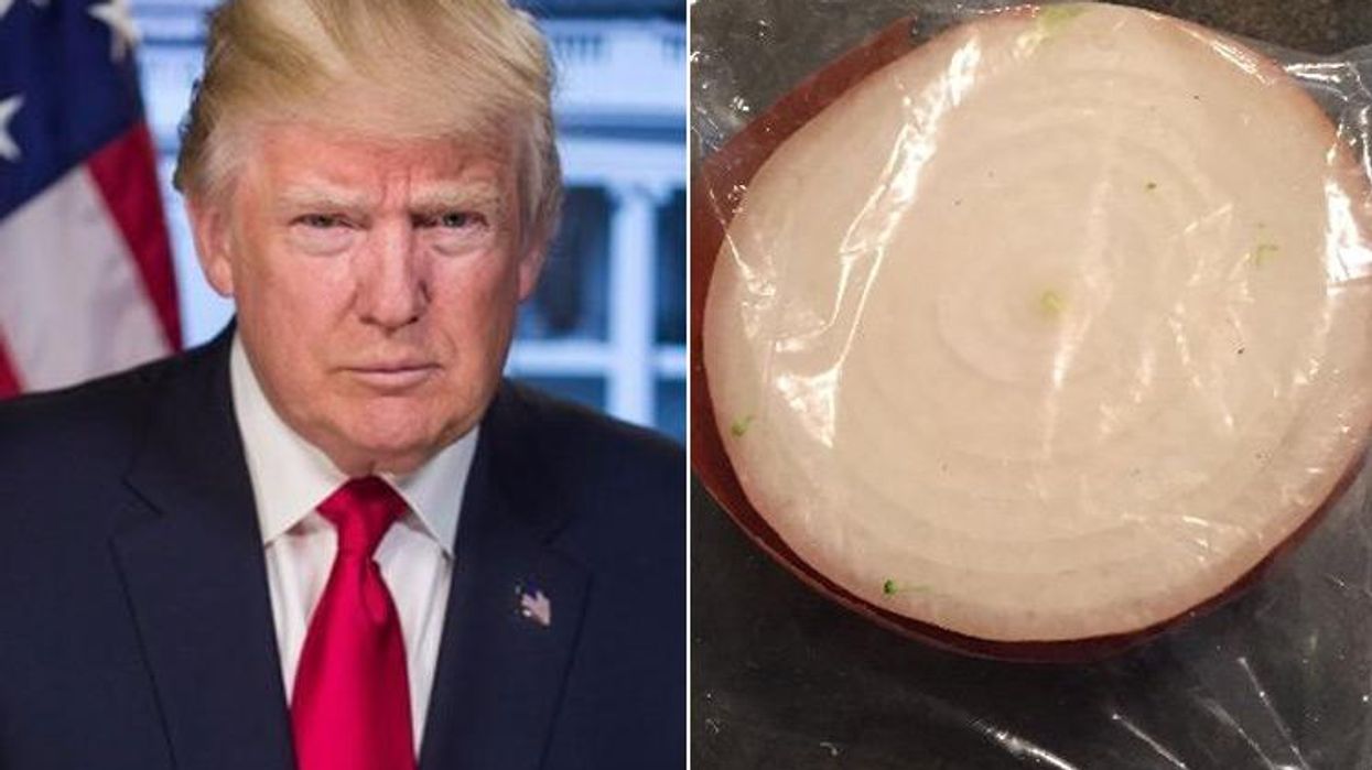 <p>Help This Half an Onion in a Ziploc Bag Get More Twitter Followers than Trump </p>