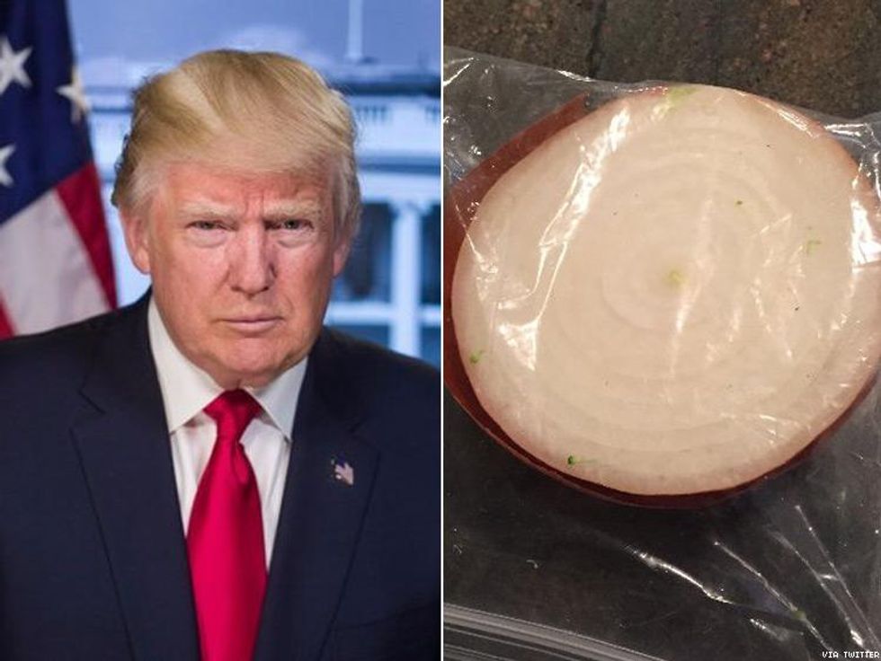 Help This Half an Onion in a Ziploc Bag Get More Twitter Followers than