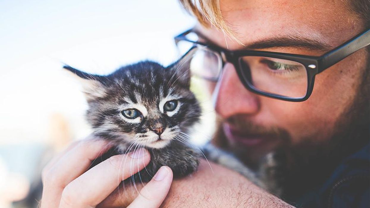 <p>Why You Need a Pet More Than Ever In Trump's America</p>