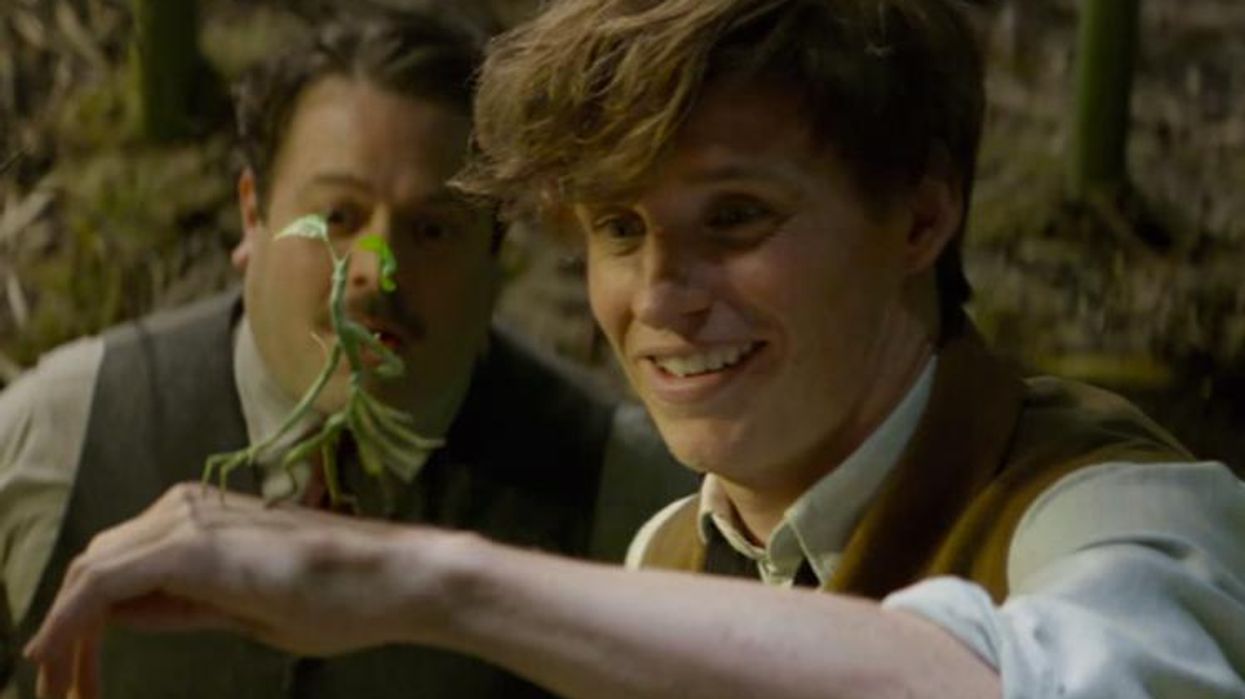 <p>5 Queer Things We Hope to See in the <em>Fantastic</em> <em>Beasts</em> Films</p>