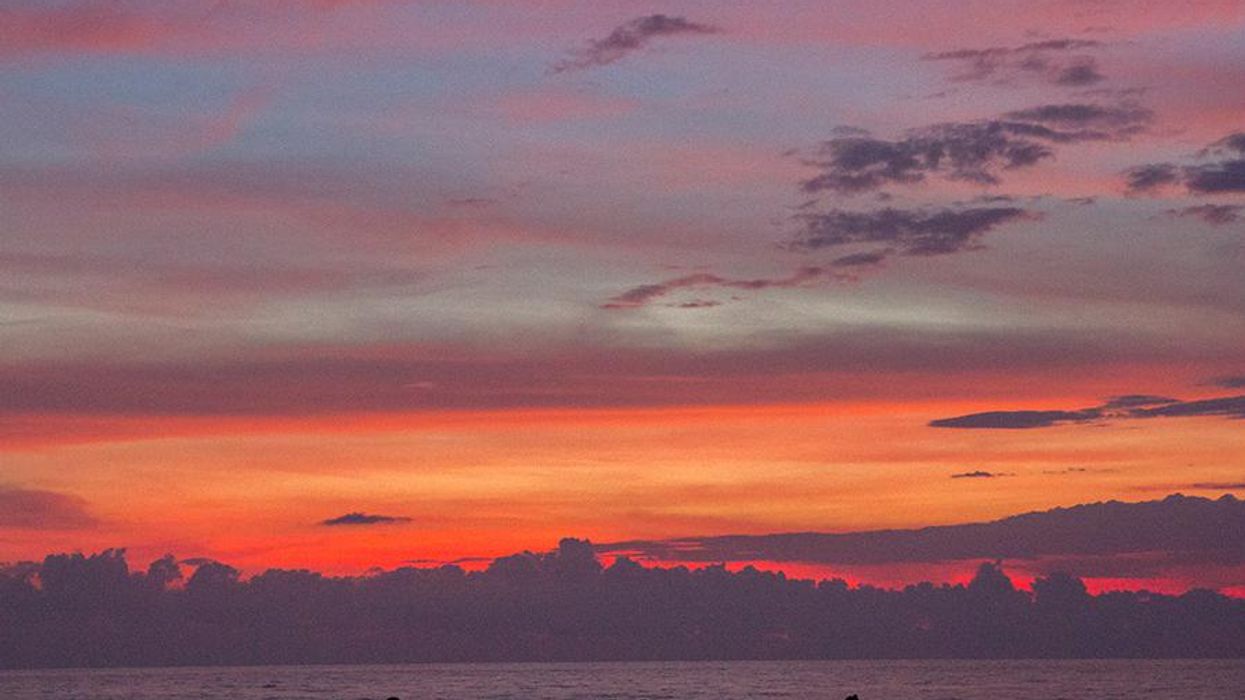 <p>You'll Laugh (and Cry) After Reading These 11 Inspiring Coming Out Stories</p>