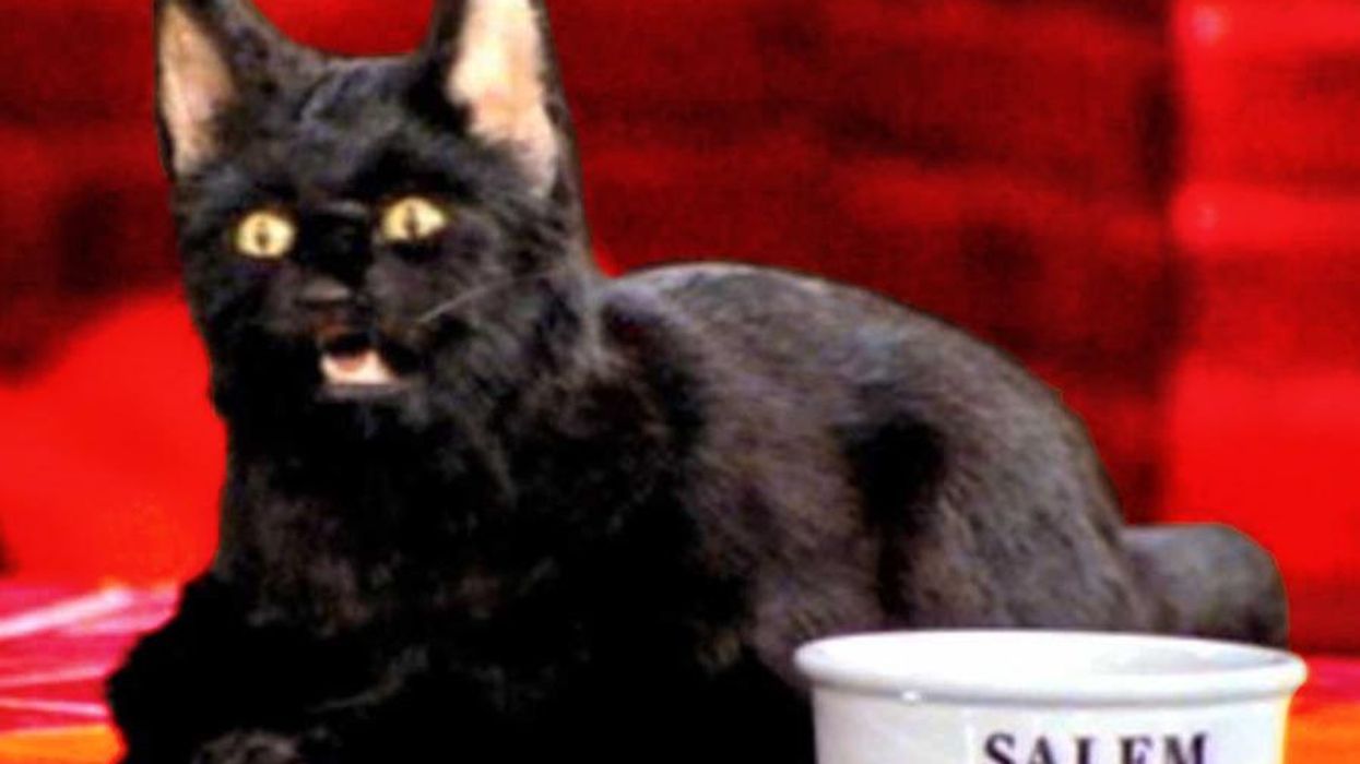 <p>13 Gay Ways to Avoid These Bad-Luck Superstitions</p>