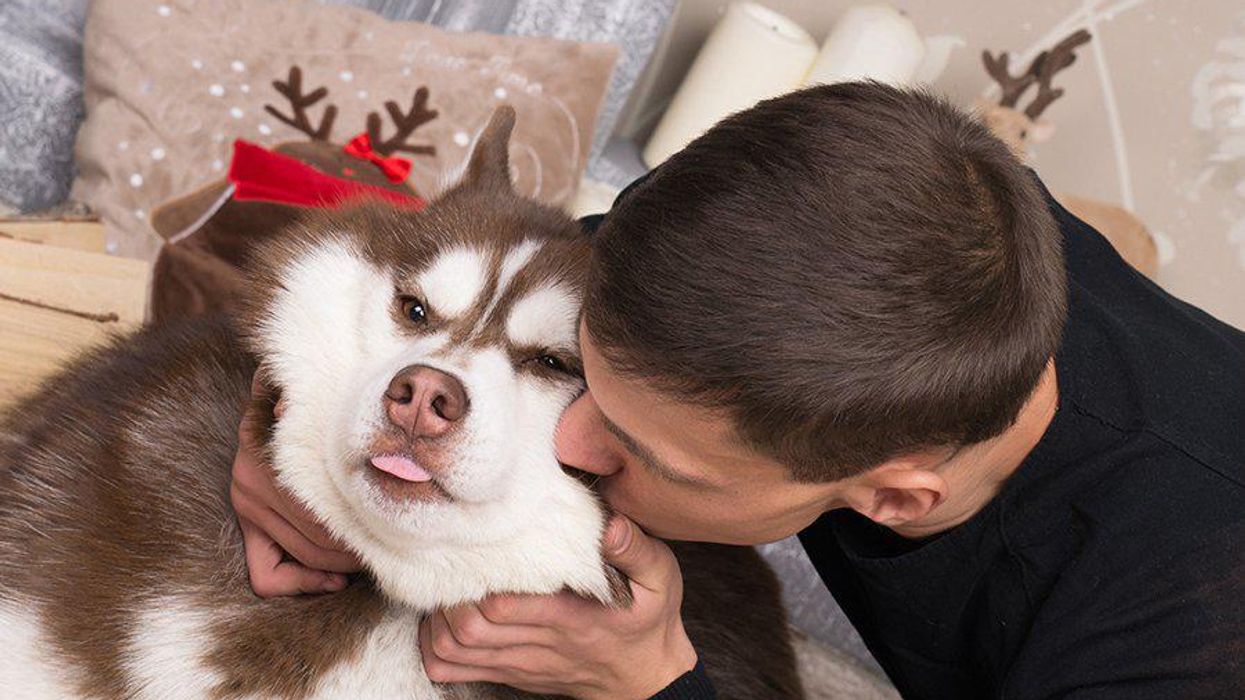 <p>5 Things Single People Could Have Kissed at Midnight on NYE</p>