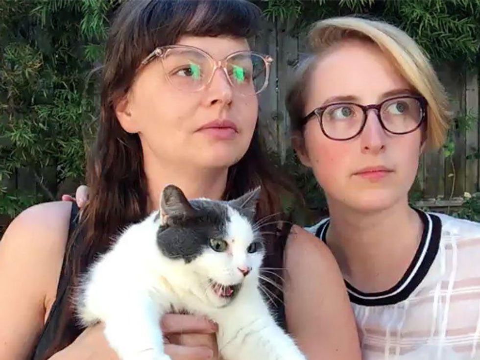 Why Lesbians Are Obsessed With Cats