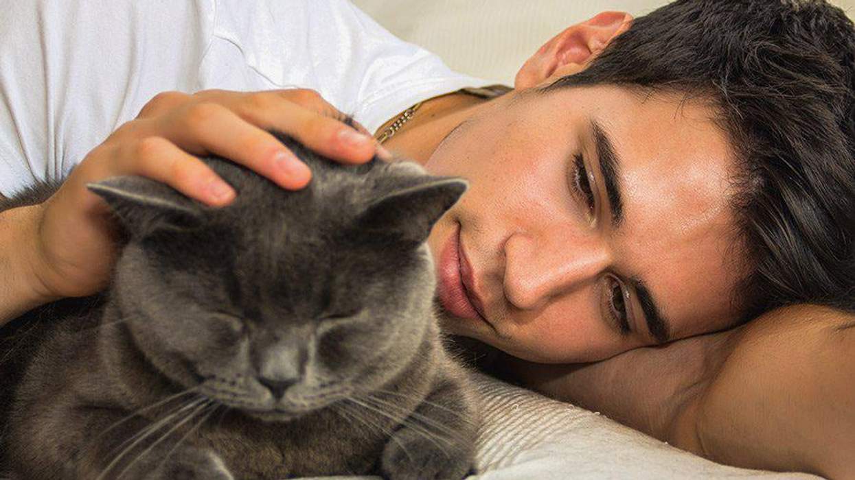 <p>5 Reasons Cats Are Better than Boyfriends</p>