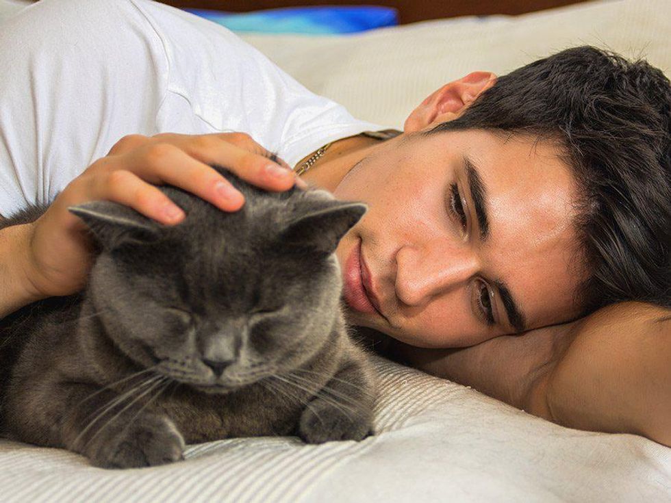 5 Reasons Cats Are Better than Boyfriends