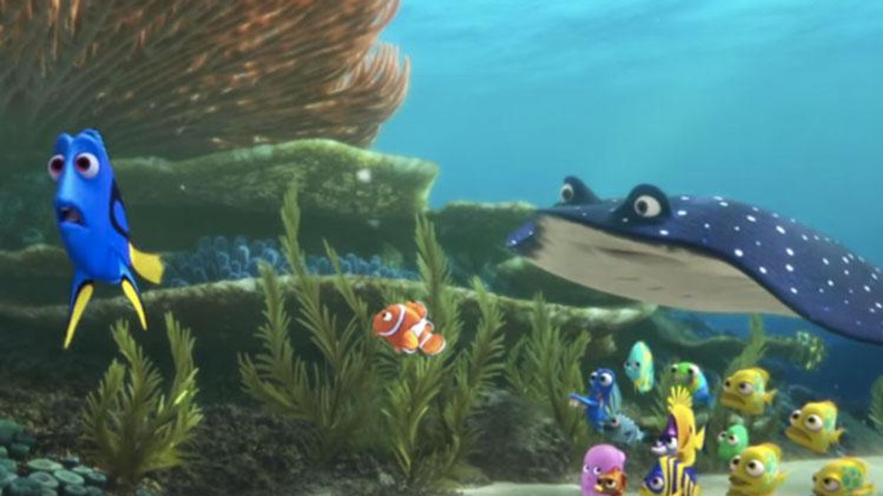 <p>WATCH: First <em>Finding Dory</em> Trailer is Out and It's All About Ellen DeGeneres </p>