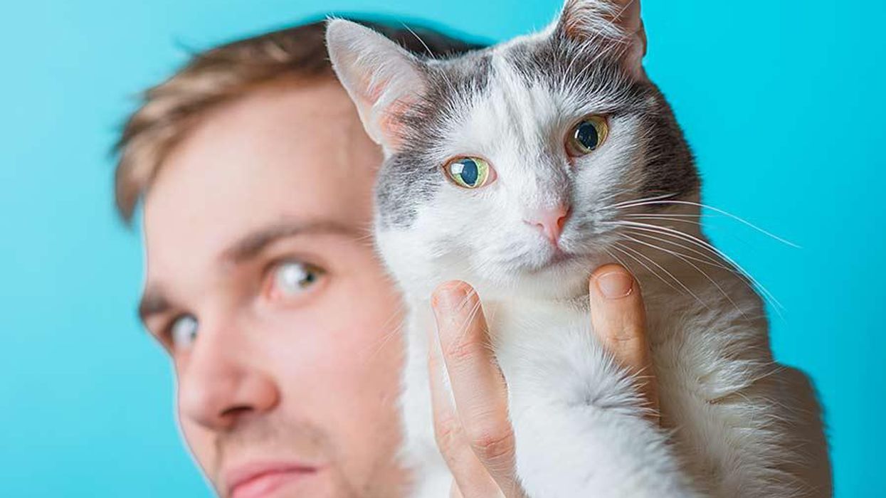 <p>7 Reasons You Should Date A Guy Who's Obsessed With His Cat</p>