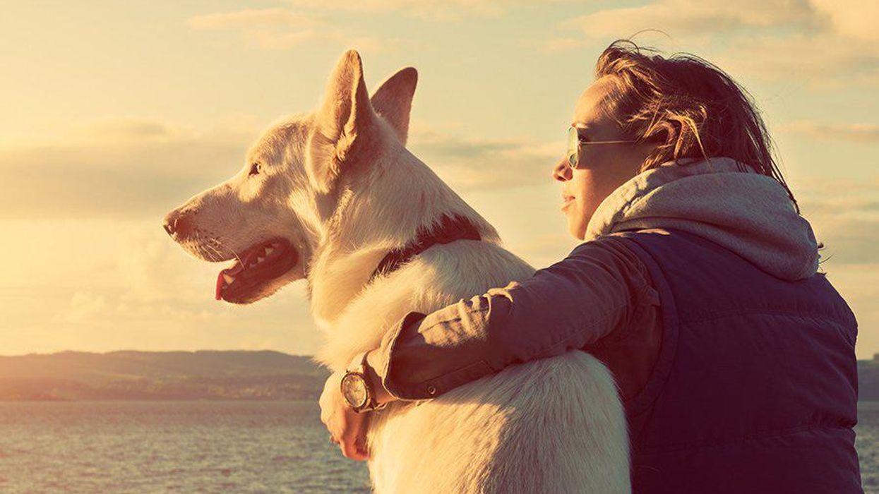 <p>6 Reasons Why You Should Date A Girl Who's Obsessed With Her Dog</p>