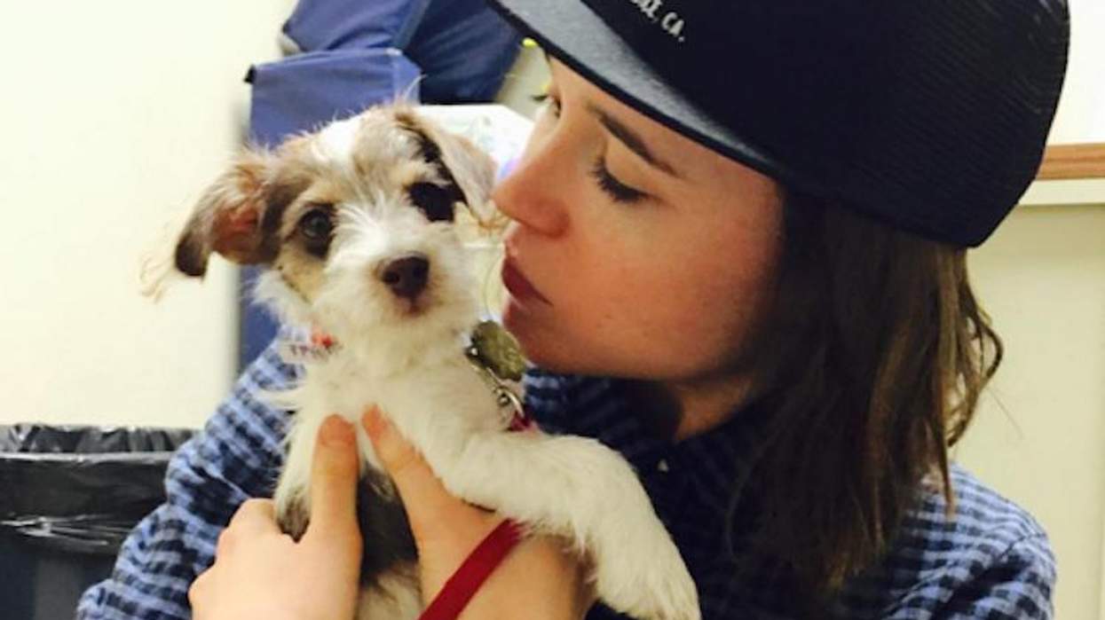 <p>Pic of the Day: Ellen Page Adopted a New Puppy and It's Too Precious to Handle</p>