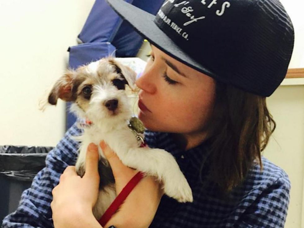 Pic of the Day: Ellen Page Adopted a New Puppy and It's Too Precious to Handle