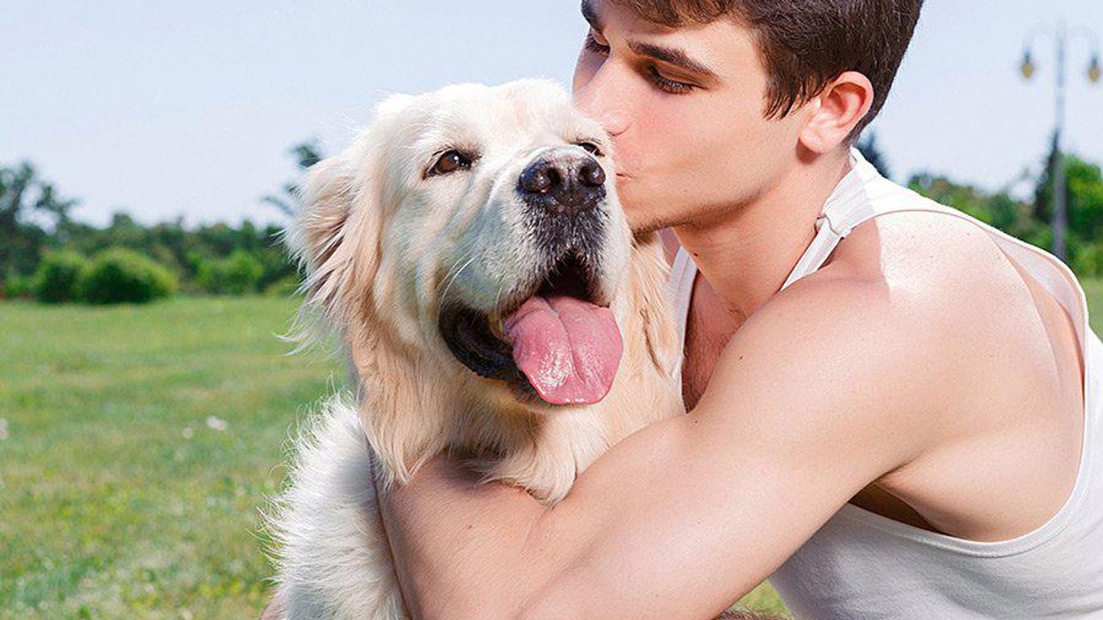 <p>6 Reasons To Date A Guy Who’s Obsessed With His Dog</p>