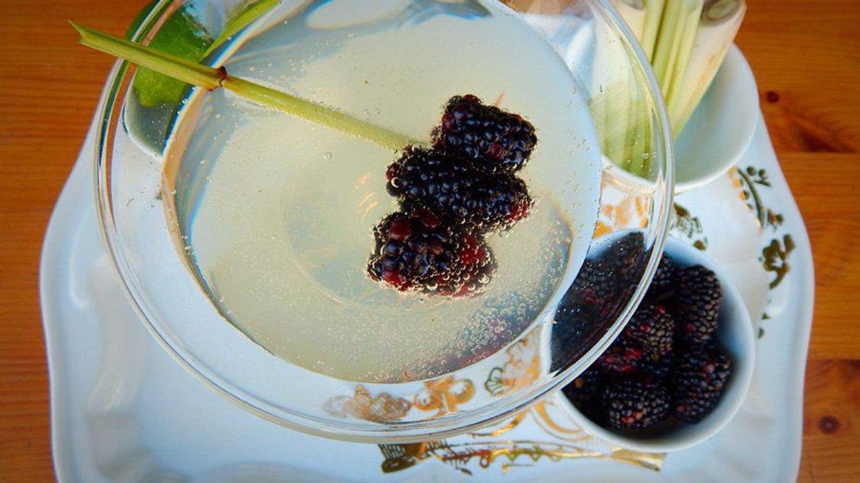 <p>THE Sip: Lemongrass & Lime Vanilla Martini</p>