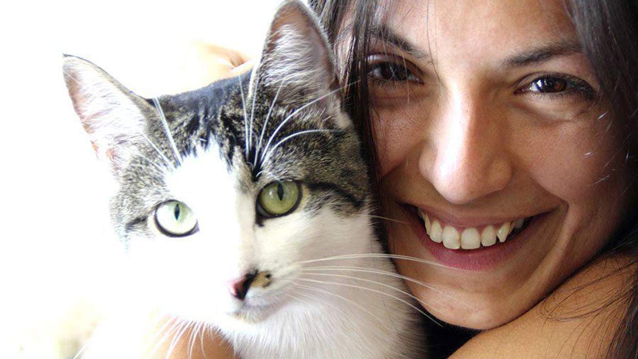 5 Ways Lesbians Are Just Like Cats