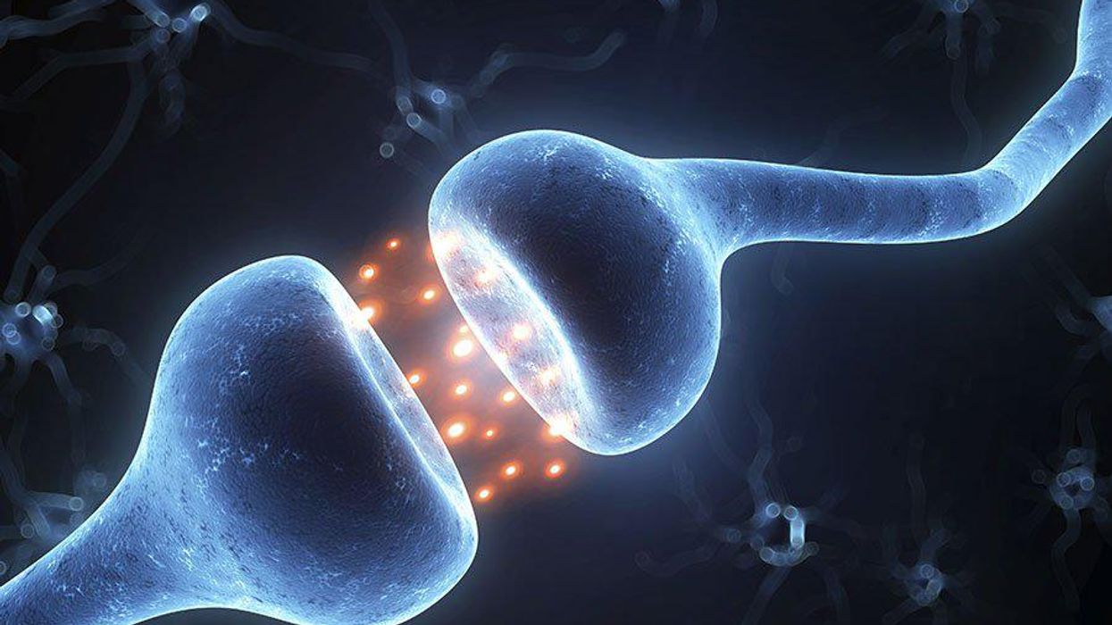 <p>6 Things to Expect When You Start Hormones</p>