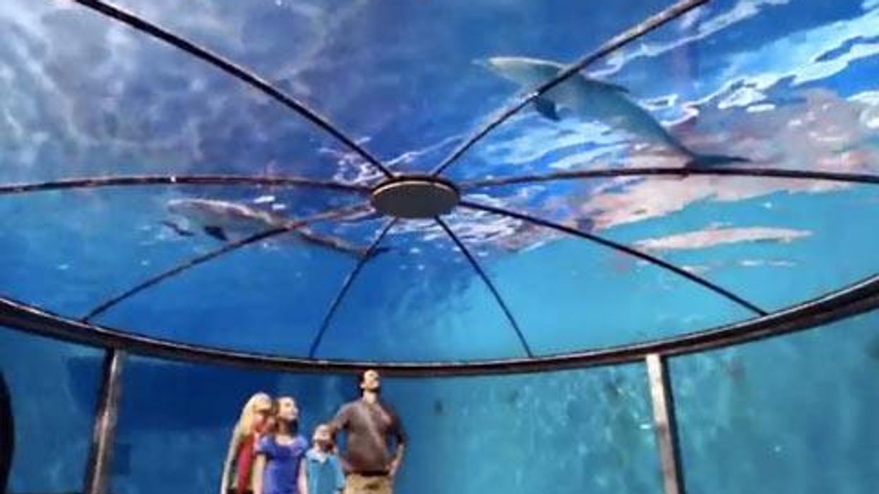 <p>WATCH: Indiana's Antigay Tourism is Perfect for Your 1950s Family</p>