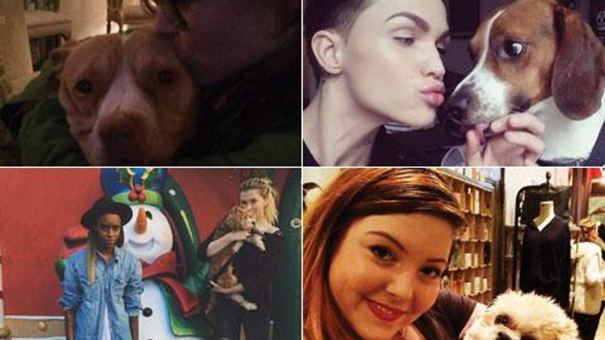 <p>10 Adorable Women We Love Cuddling Puppies in Honor of the Puppy Bowl</p>