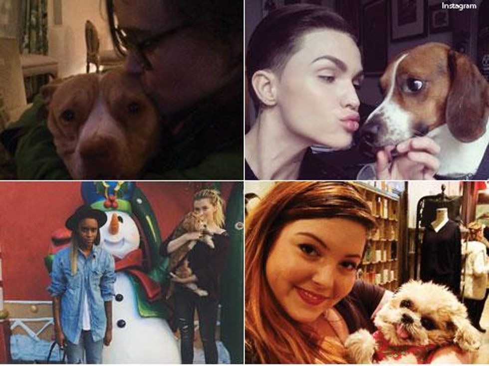 10 Adorable Women We Love Cuddling Puppies in Honor of the Puppy Bowl 