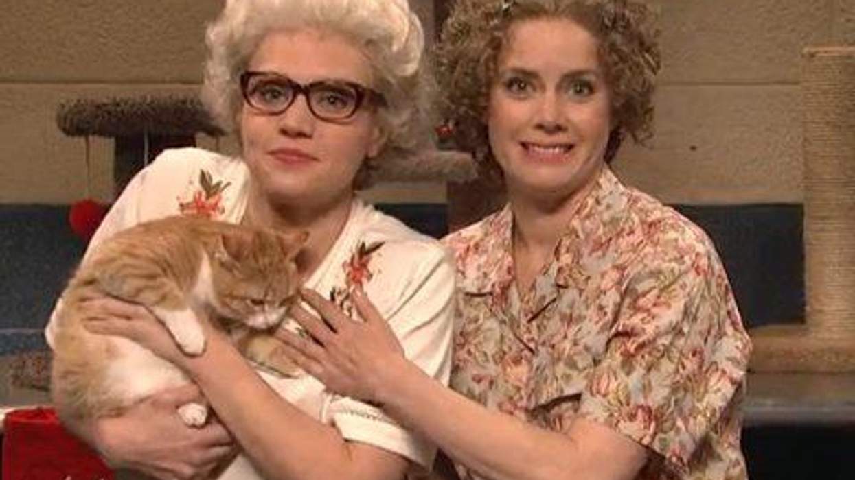 <p>WATCH: Kate McKinnon and Amy Adams Play Cat-Loving Girlfriends in This Purr-fect <em>SNL</em> Sketch</p>
