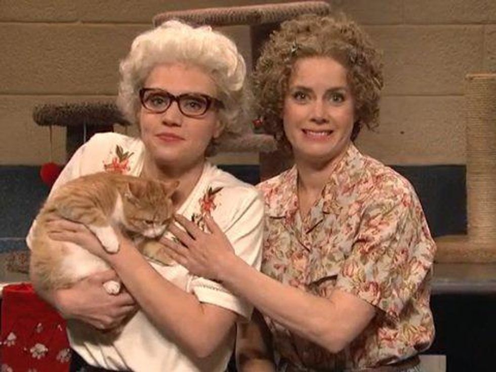 WATCH: Kate McKinnon and Amy Adams Play Cat-Loving Girlfriends in This Purr-fect SNL Sketch