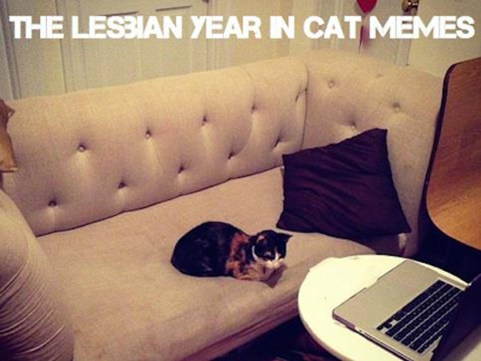 2014 Lesbian Year in Review as Recalled By These Cats 