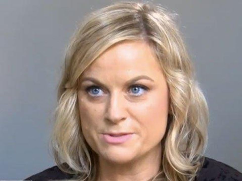 WATCH: Amy Poehler Schools A Guy in What It's Like To Be a Woman Every Day