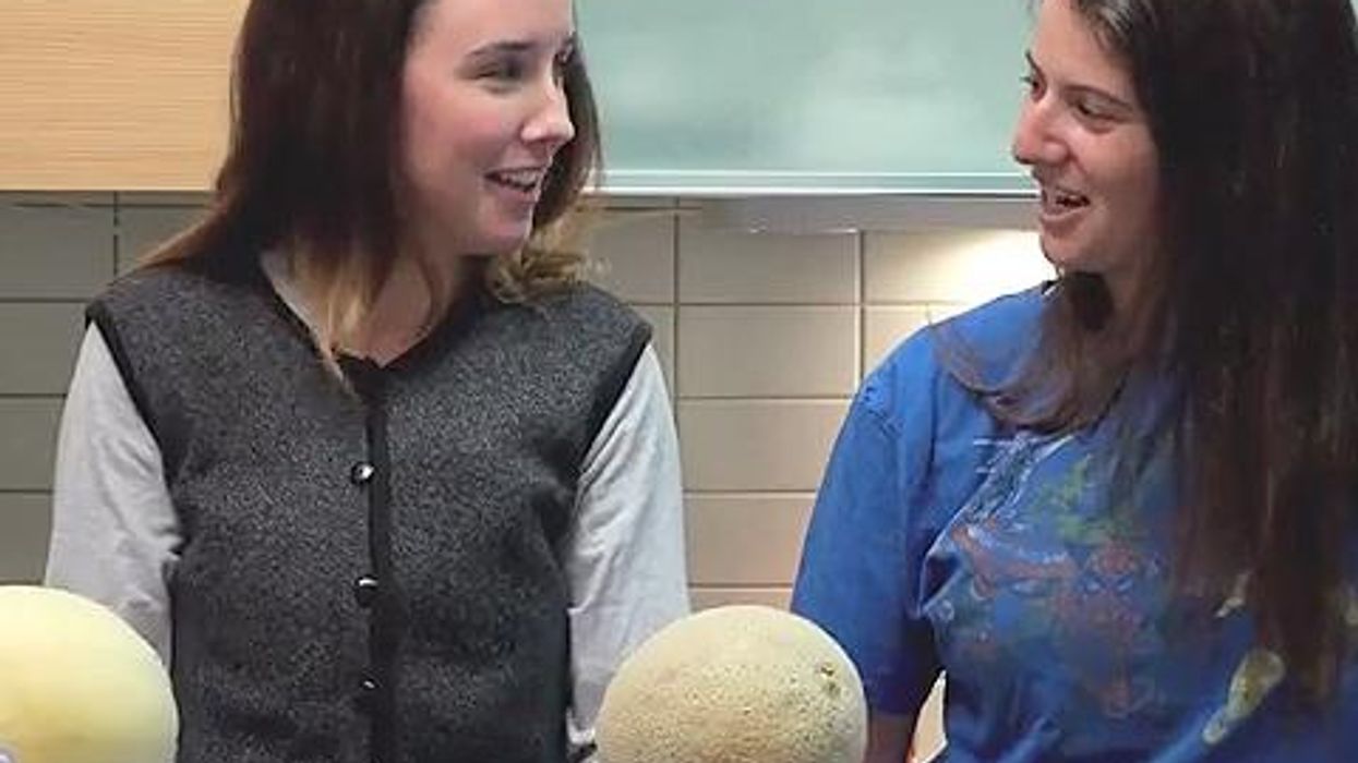 <p>WATCH : Play With My Melons - Cooking With Lesbians</p>