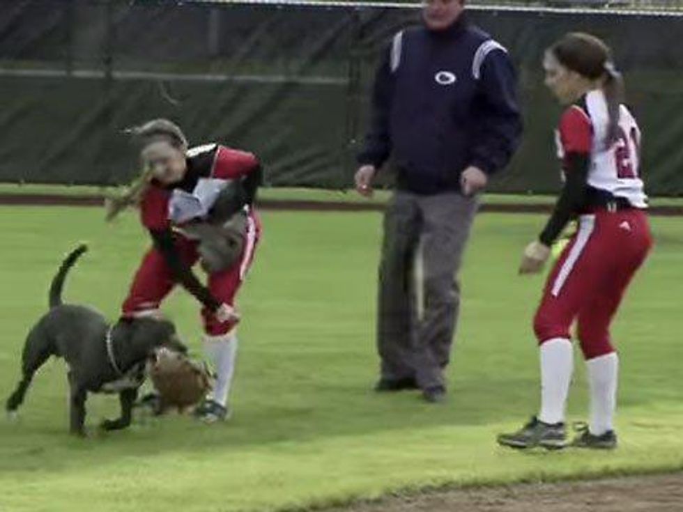 WATCH: Mitt-Thieving Dog Crashes Women's Softball Game 