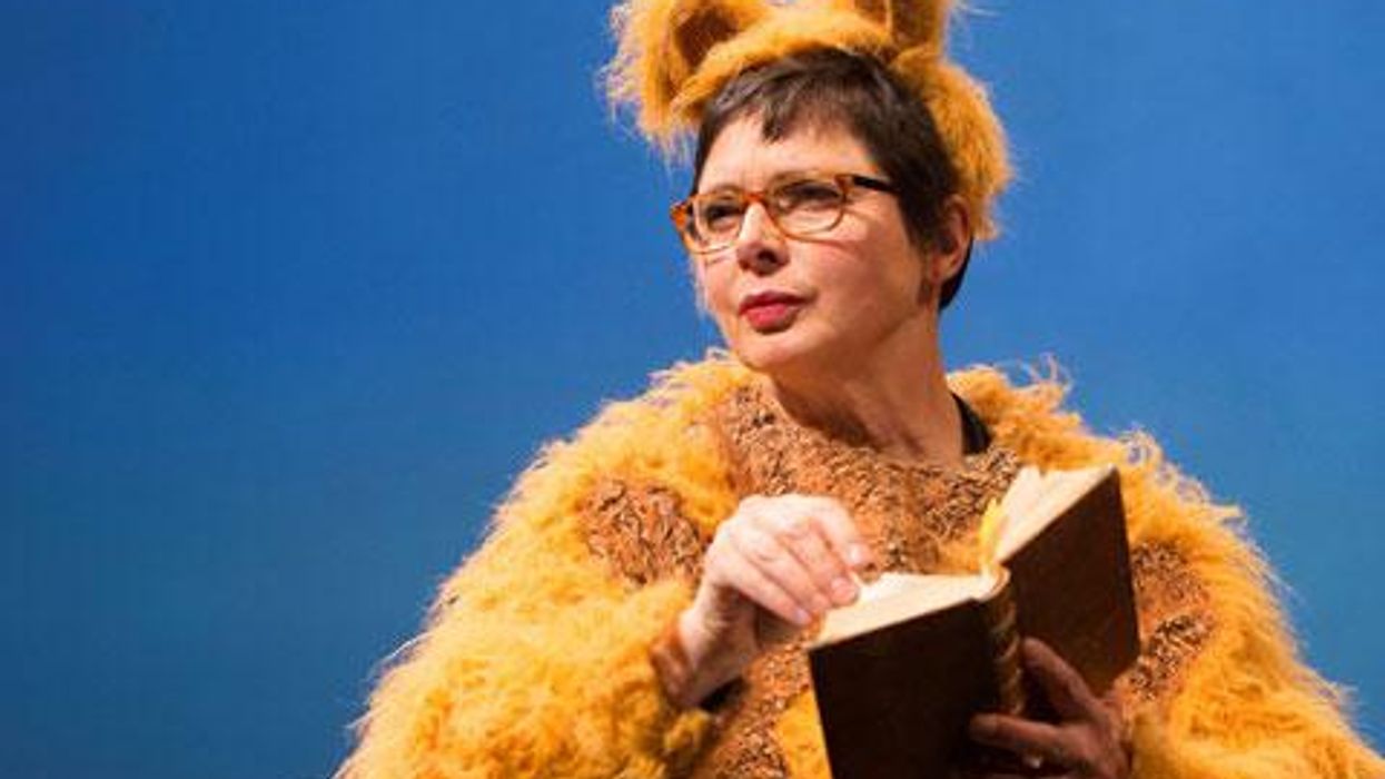 <p>Don't Miss Isabella Rossellini's <em>Green Porno </em></p>