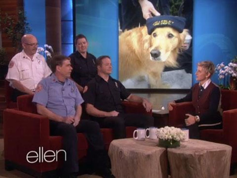 WATCH: Ellen DeGeneres Rewards Firefighters Who Saved This Dog from an Icy River 