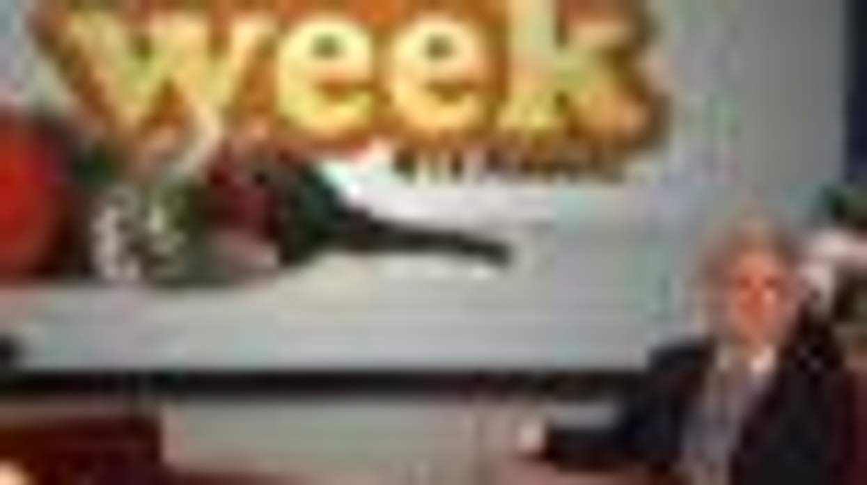 WATCH: Ellen Kicks Off 4th Annual 'Cat Week!'