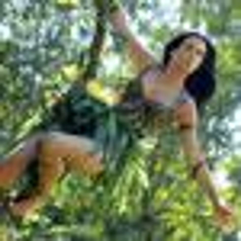 WATCH: Katy Perry's 'Roar' is a Feminist Anthem for the Ages? 