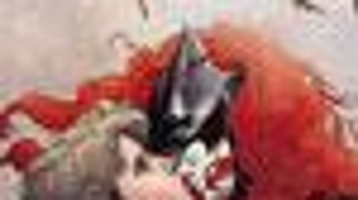 <p>DC Comics Forbids Batwoman to Have a Lesbian Wedding</p>