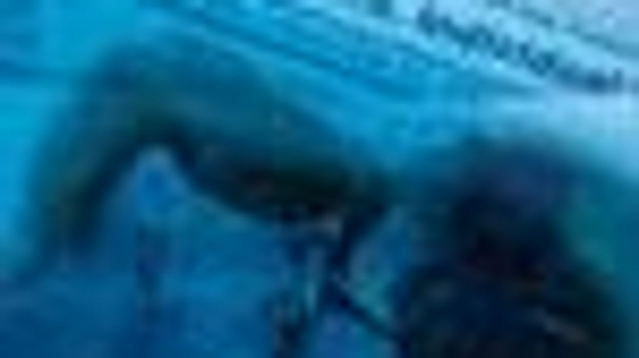 IRS to Recognize Legal Same-Sex Marriages for Tax Purposes