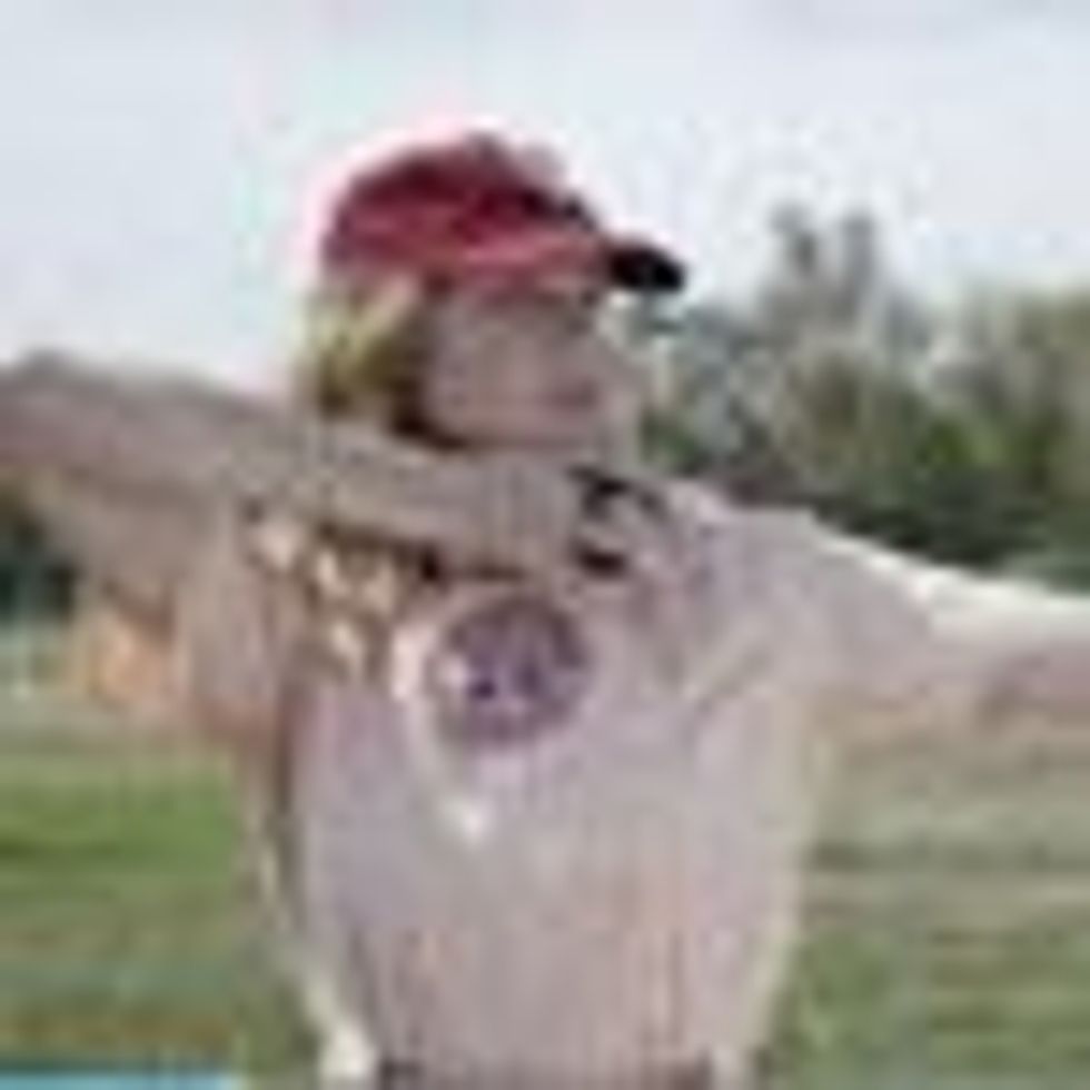 WATCH: Geena Davis Shows Katniss How Archery is Really Done! 