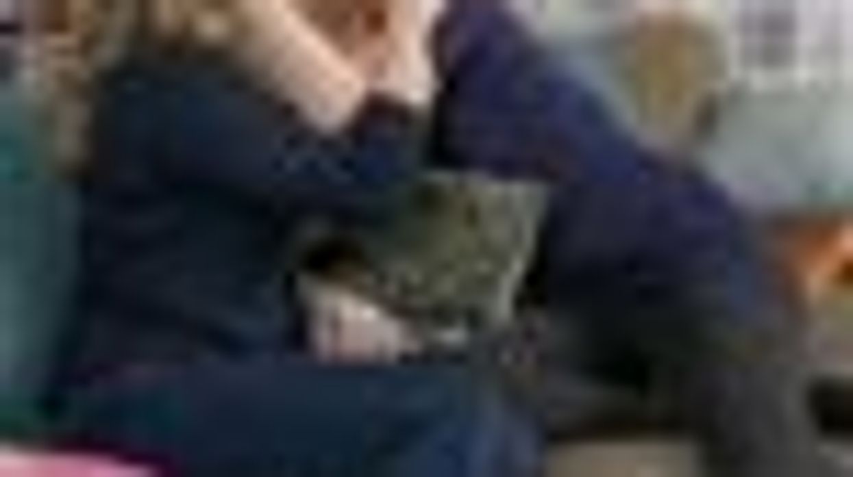 WATCH: Amy Schumer and Amber Tamblyn Watch Porn and Make Out