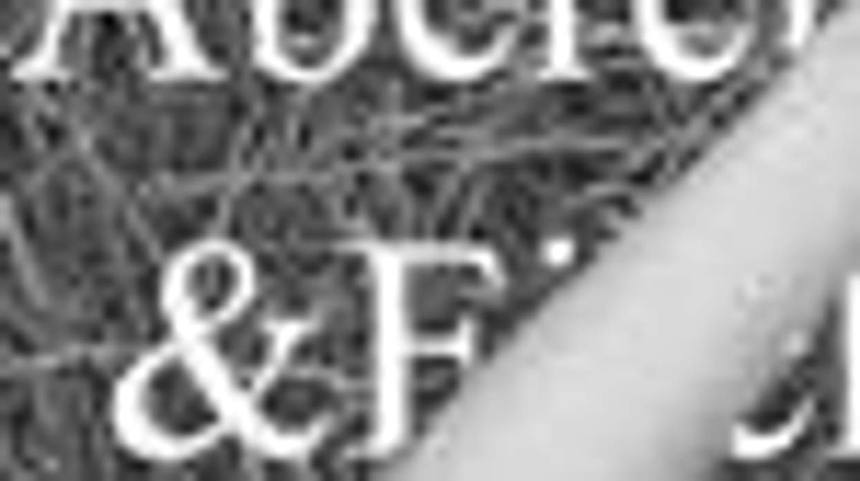 Op-ed: Abercrombie Says No Fat Chicks And Weirdos