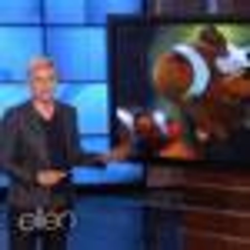 Watch: Ellen DeGeneres Explains the Birds and the Bees 