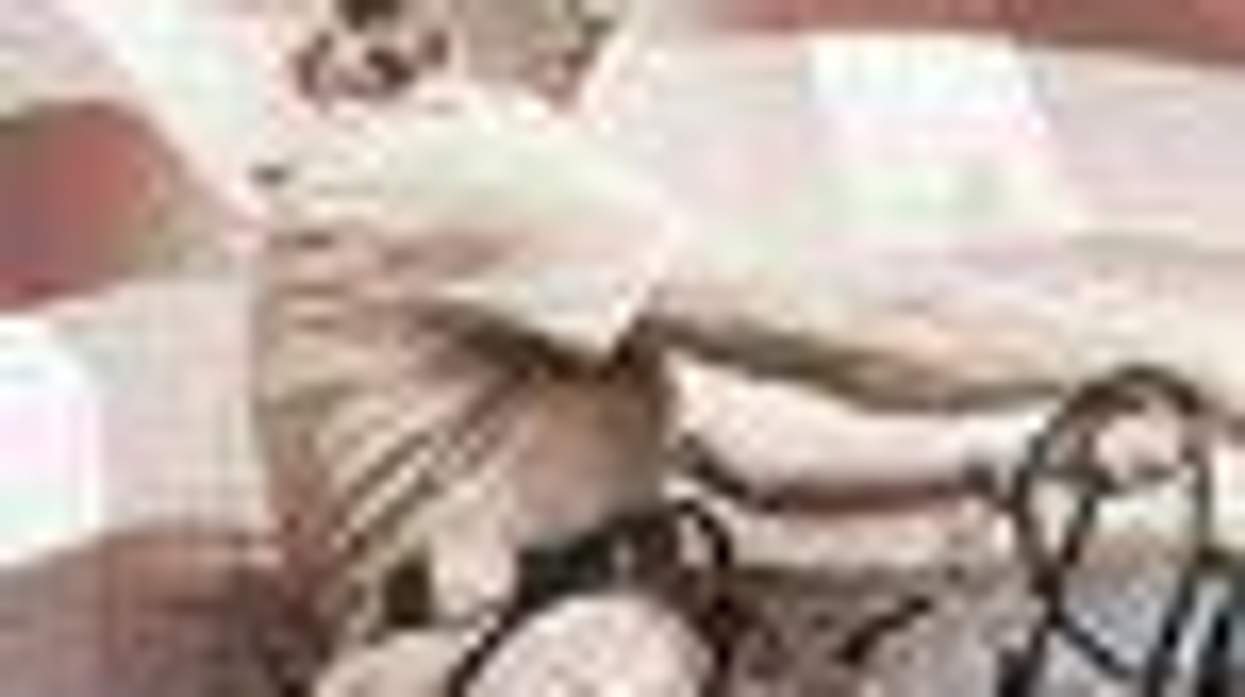 Pepper Paire-Davis, Inspiration for Geena Davis' Character in 'A League of Their Own,' Dies at 88