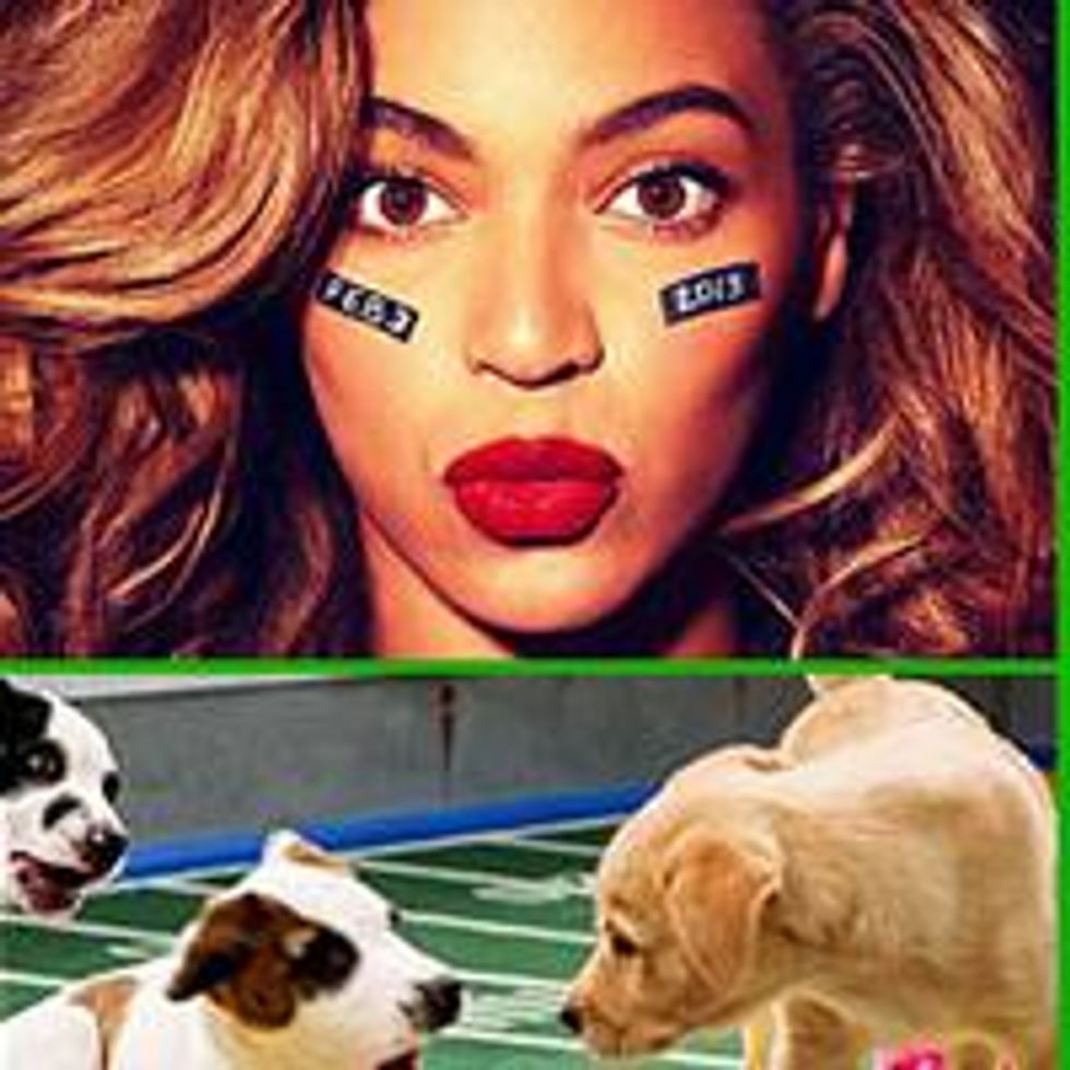 The Ultimate Guide Superbowl Weekend XLVII - Lingerie, Puppies and Football 